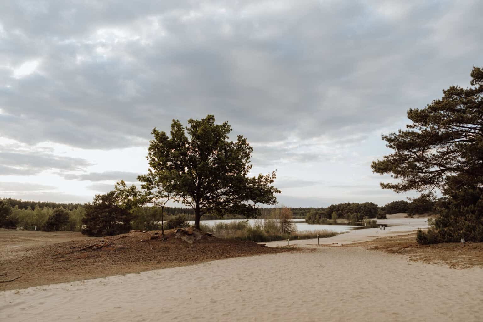 Natuur